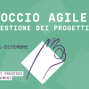 Approccio Agile nella gestione dei progetti