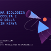 Piattaforma ecologica per la raccolta e il riciclo della plastica in Kenya